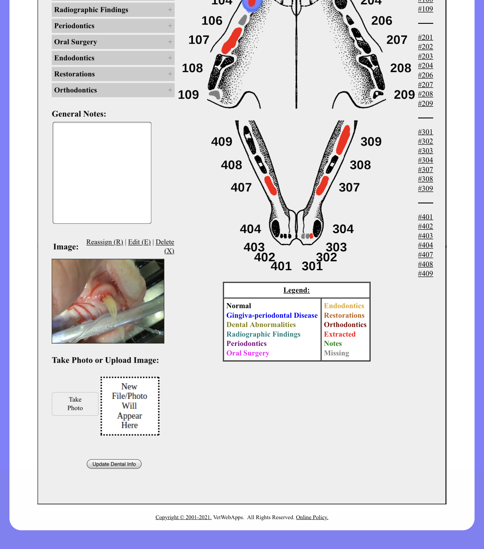 Using The Dental Chart